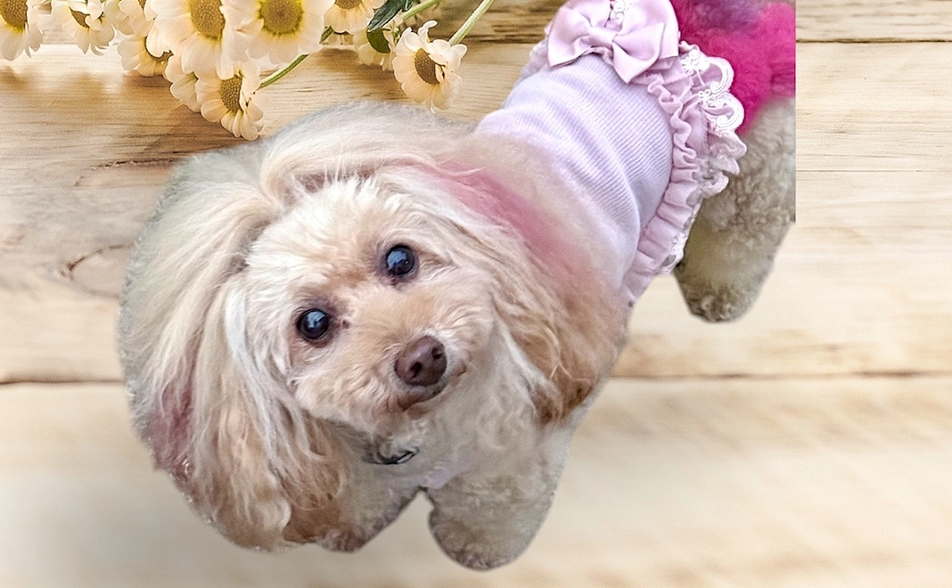 感謝のメールを送らせて頂きますC