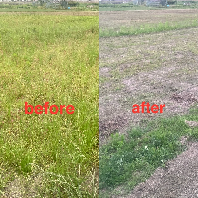 新しく借りた畑の草刈をしました。