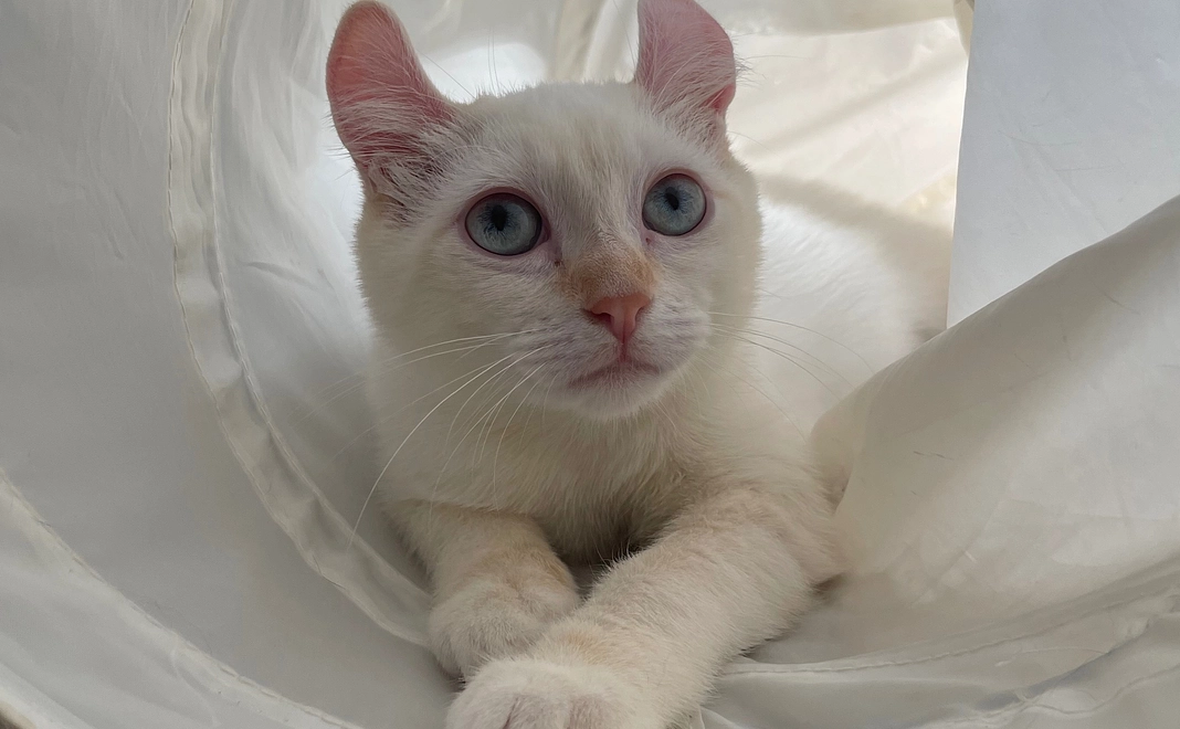 リザから感謝のメッセージ