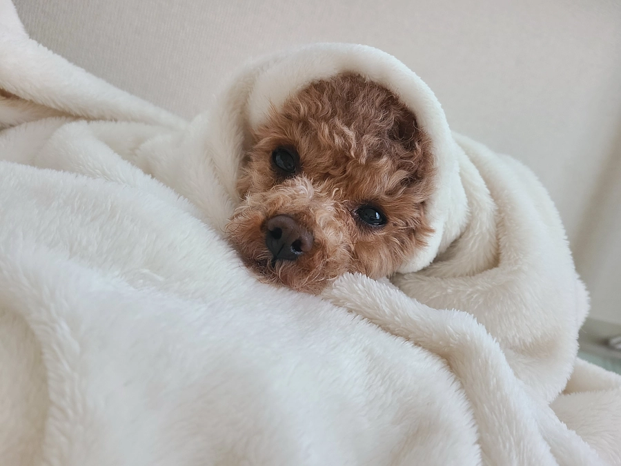 プロジェクト公開初日を終えて