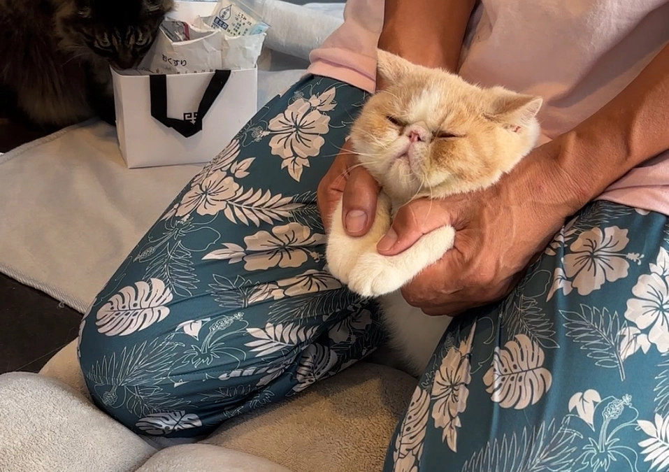 わさびの応援隊⑥