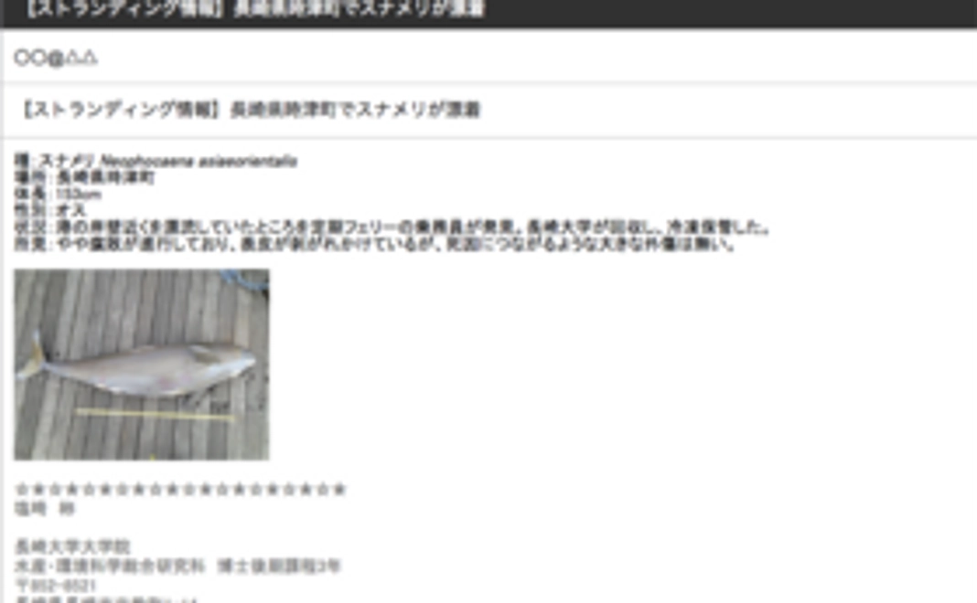 調査結果を速報でお届け