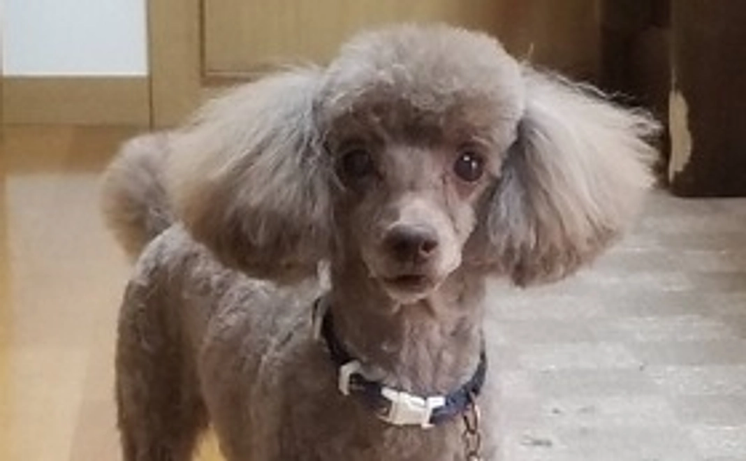 感謝のメールを送らせて頂きます 2