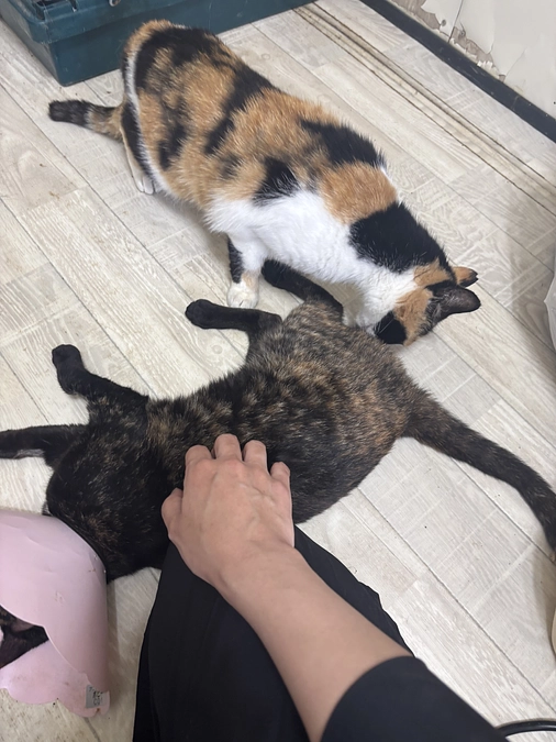 順調に工事中です