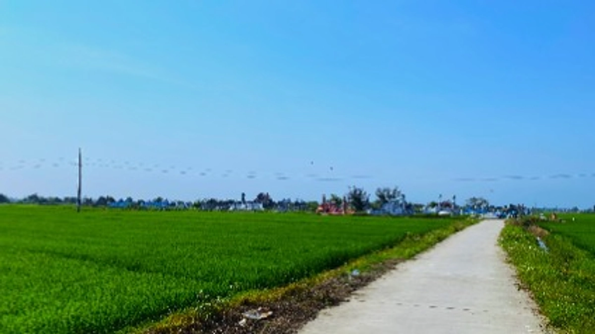 残り3日！！お願いします！！！！！