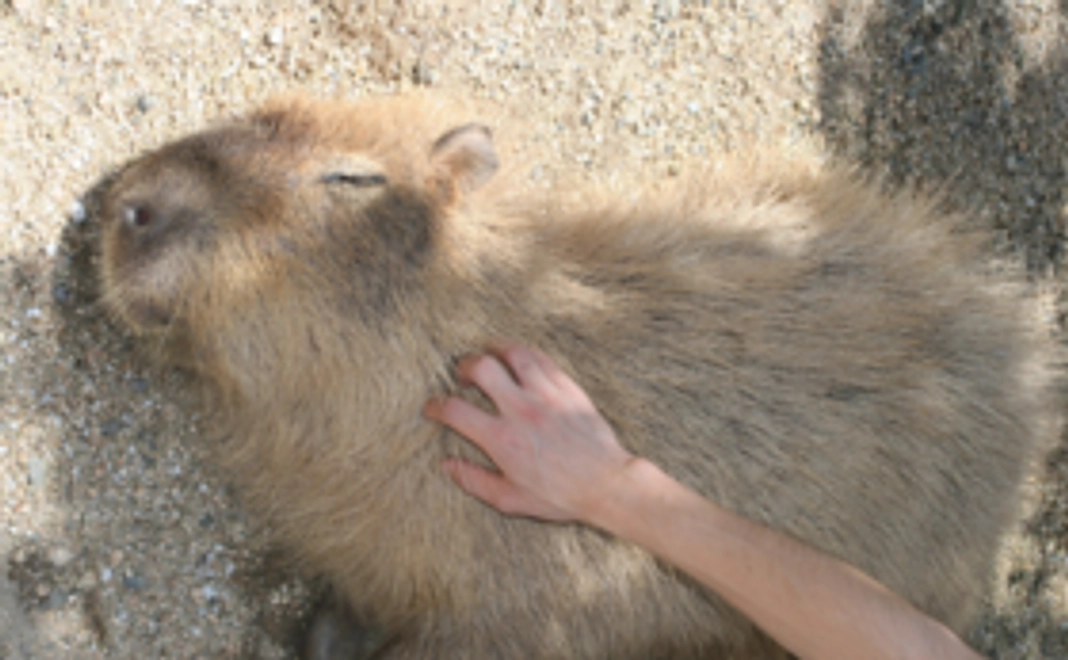 【3,000円コース】