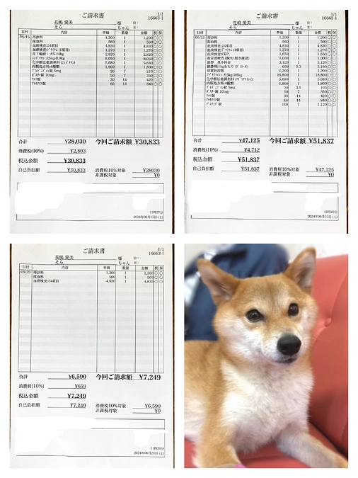 ここまでの治療経過