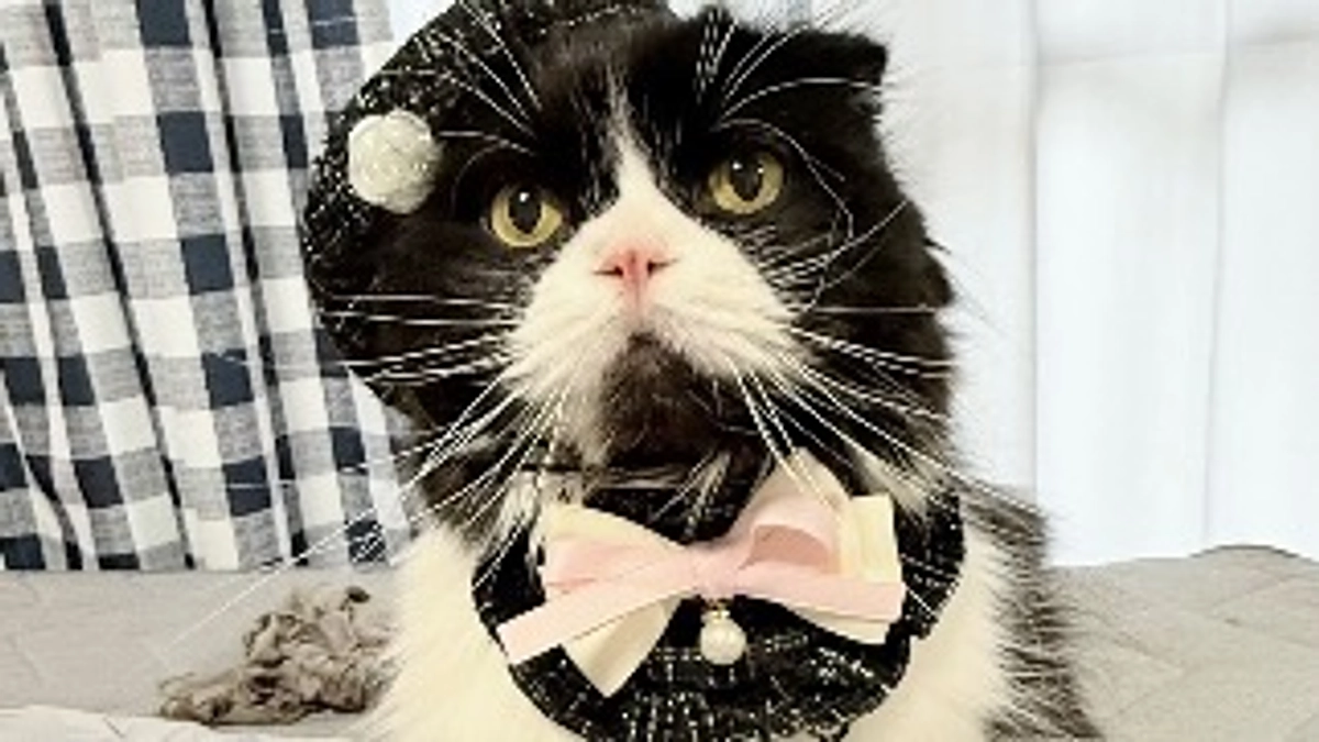 残り13日。２週間を切りました🥺