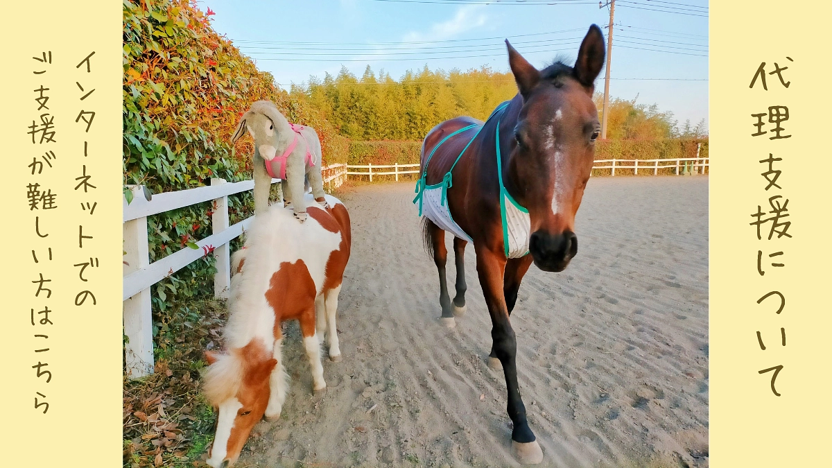 代理支援について 〜インターネットでのご支援が難しい方へ〜