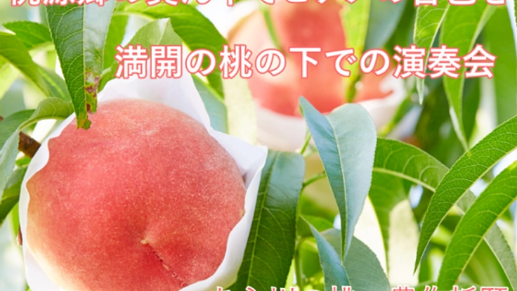 桃源郷の真ん中でピアノの音色を。満開の桃花の下で演奏会開催へ