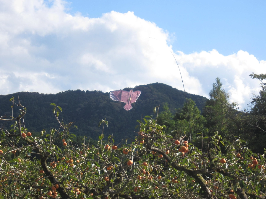 保全活動も続行してます