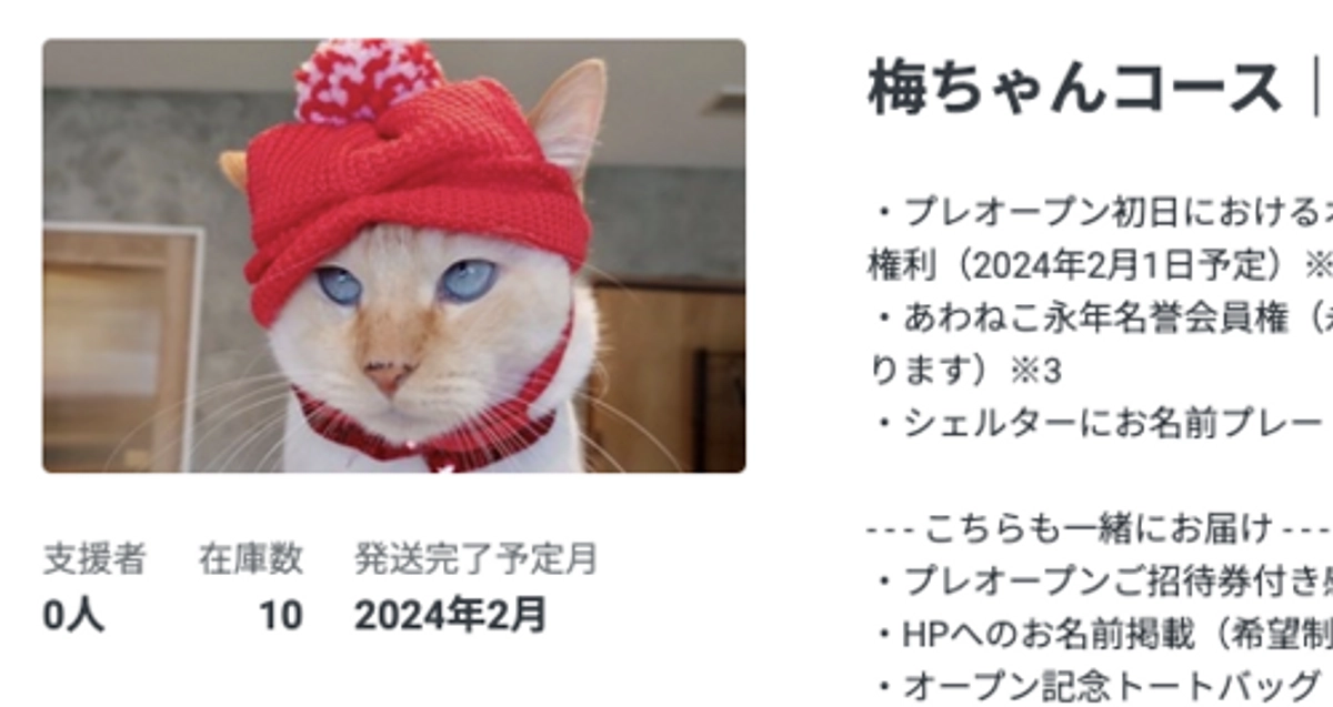 おすすめリターンのご紹介「梅ちゃんコース」