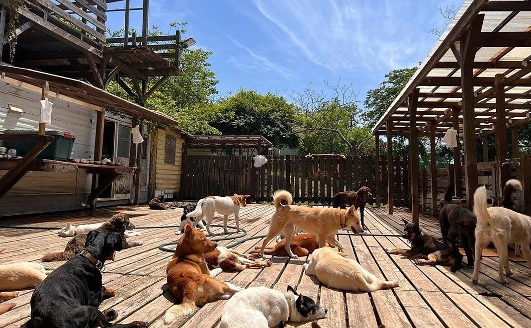 毎月10000円コース