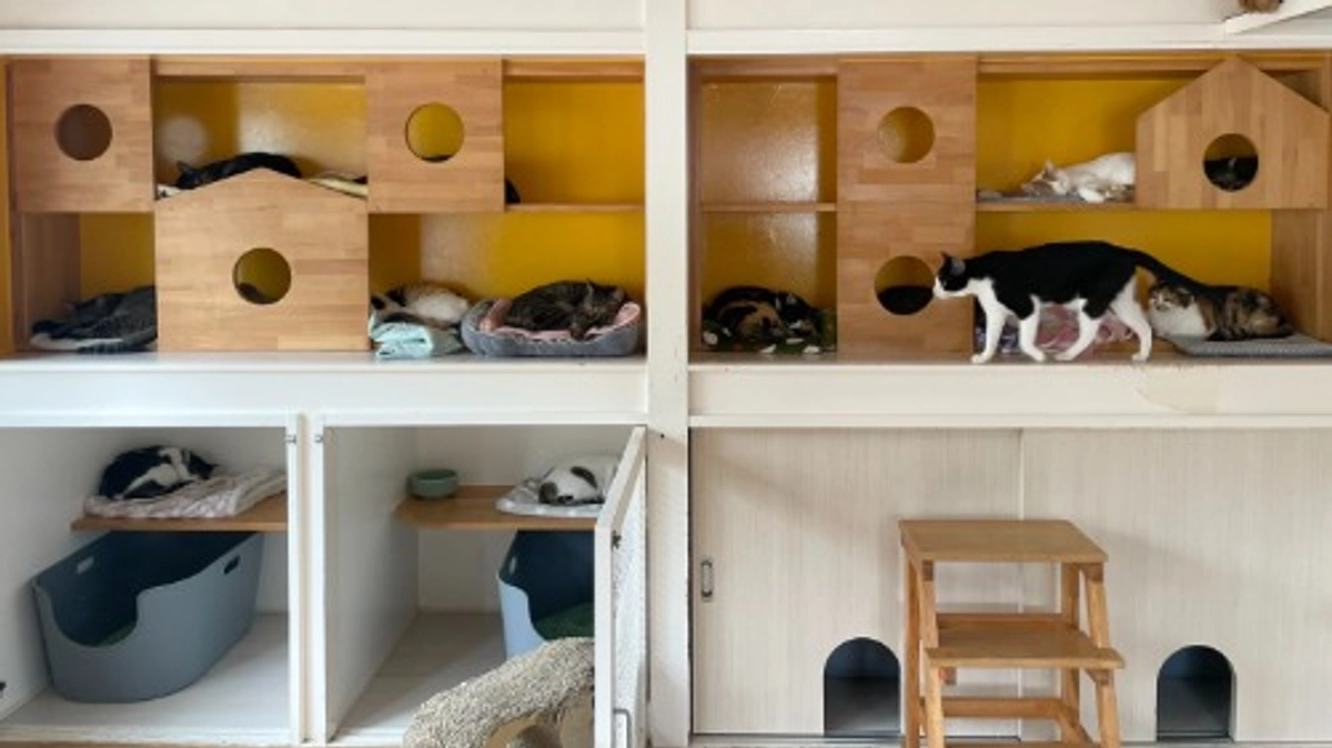 ＬＹＳＴＡ通信　Ｒ７年９月