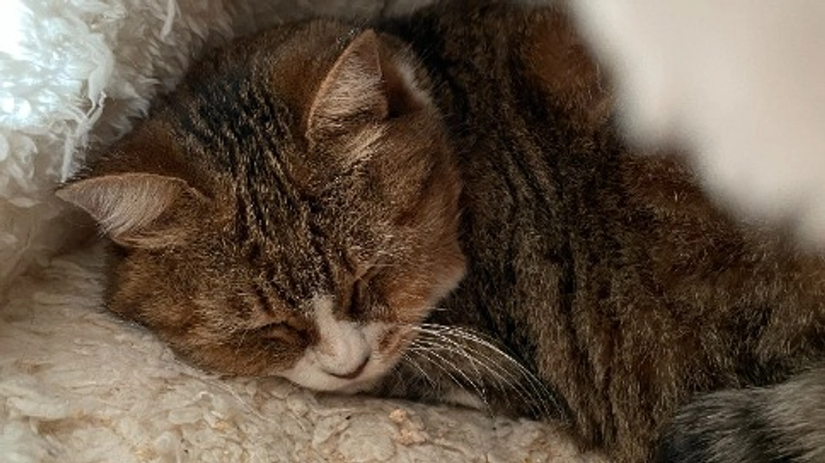 寒くなってきましたが、セイラは元気です！