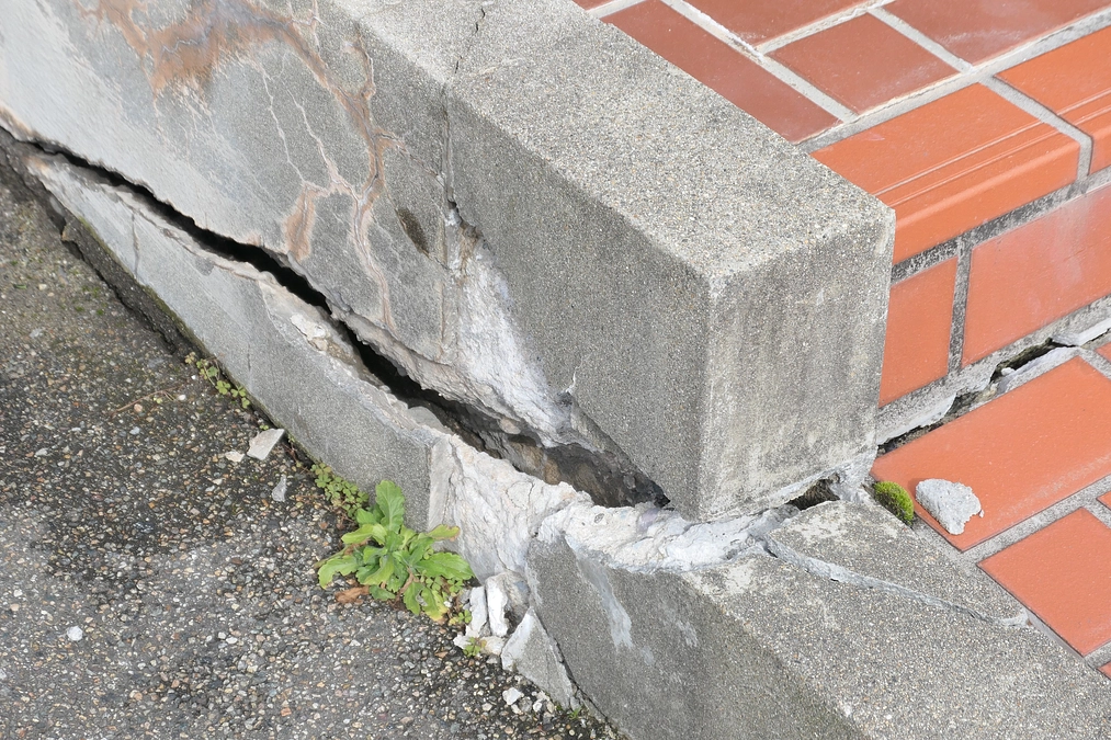 まだまだ、これから･･･