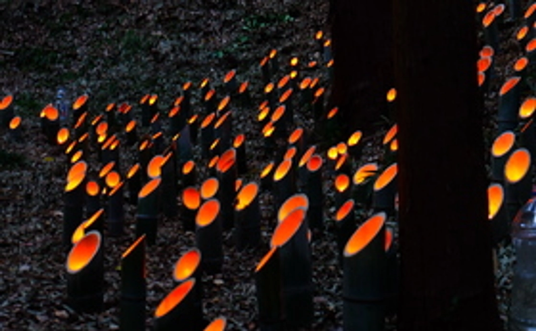 竹あかり満喫コース