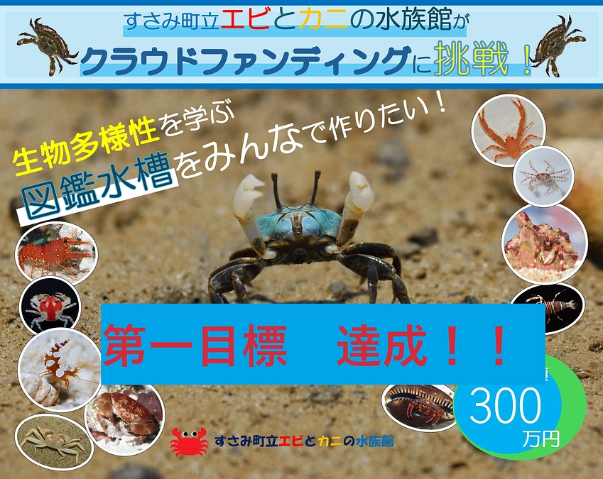 ありがとうございます！図鑑水槽作れます！目標額達成しました～！！！