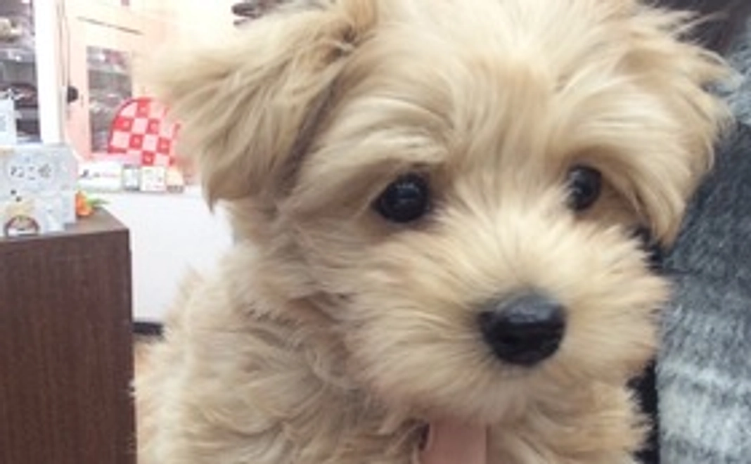 感謝の気持ちを込めて、お礼のメールをお送りさせていただきます。