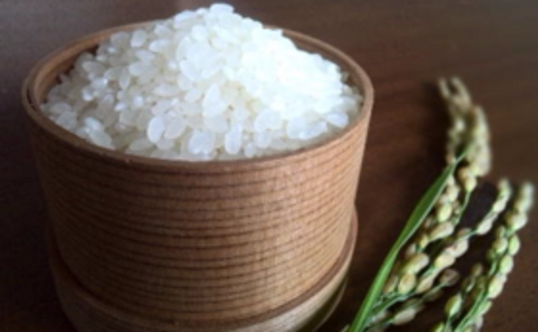 粘りと美しい艶のある横田農園のお米をお届け！