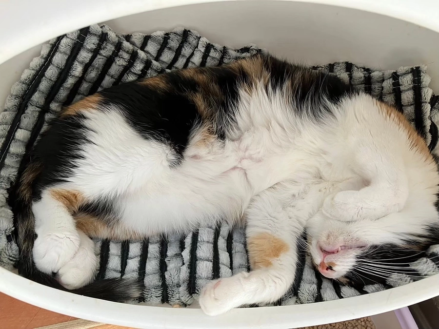 本日はまったりタイム特集です！