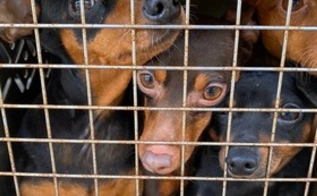 B：1万円コース