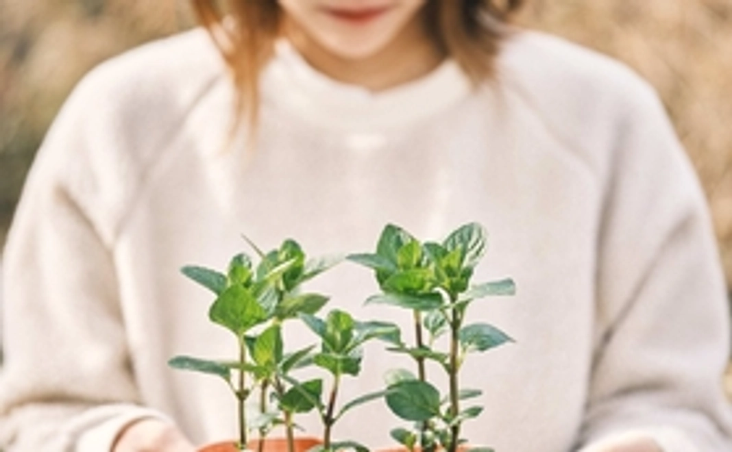 全力応援プラン(3000円)