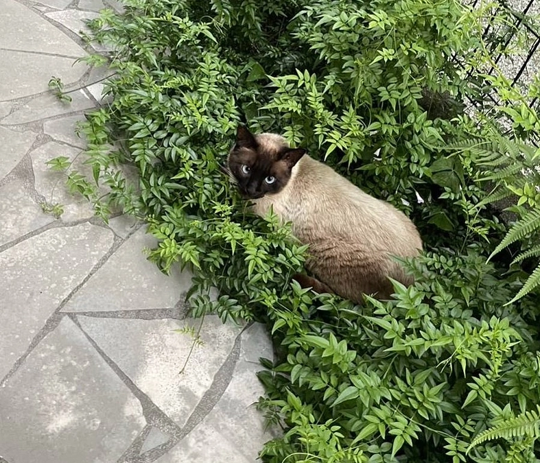 テオは正式譲渡となりました‼