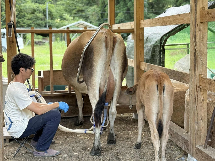 フローズンヨーグルト製造の見通しが立ちました / リターン遅延のお詫びと今後の予定