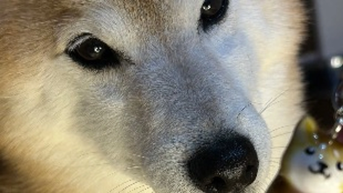 日常のひとコマ