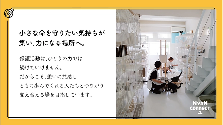 保護猫カフェ開業へ。誰にも気にかけてもらえない命を0に! 7枚目