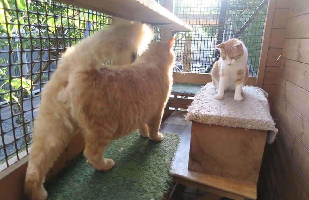 クラウドファンディング担当者・所﨑より