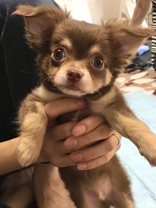 クラウドファンディング残り23日