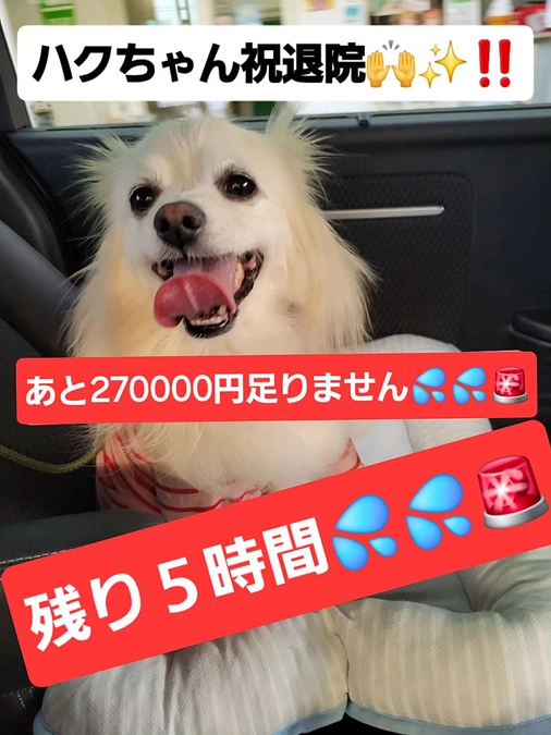 【残り５時間】達成率7３%＜祝退院😭💓＞