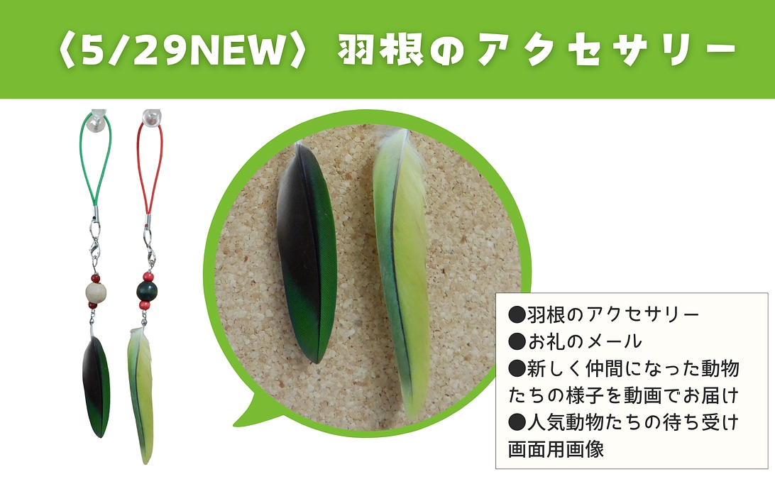 【活動報告⑨】祝！ファーストステップ到達！！新リターン追加します「グッズで応援｜羽根のアクセサリー」