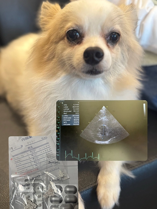 10/15 3回目の検査🏥