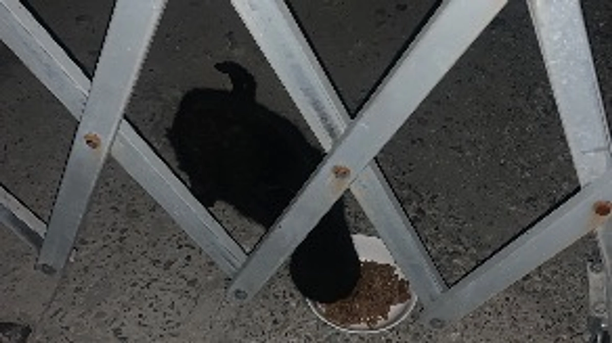 買い物第二弾の