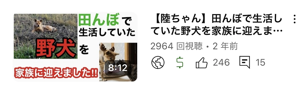 どんな事をしてでも殺処分はさせたくない