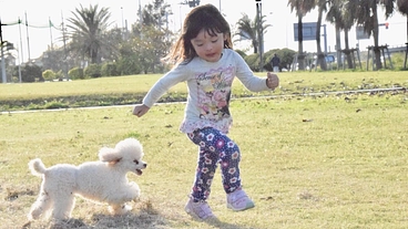 【沖縄】南の島の"ワンちゃんふれあい施設"立ち上げにご協力を【犬】 のトップ画像