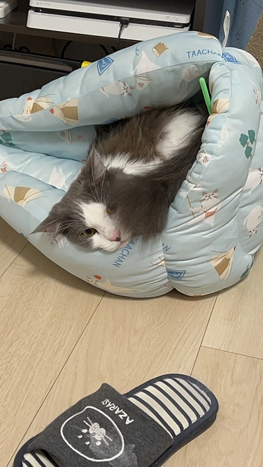 ご支援拡散のお願い🙇‍♀️