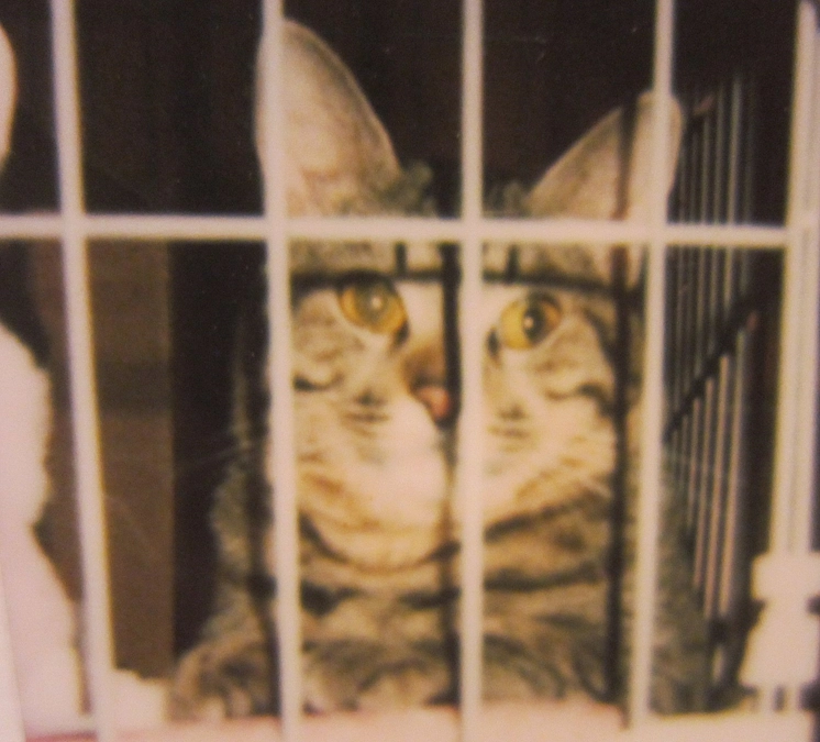 【残り日数・7日間】　帰り道で。