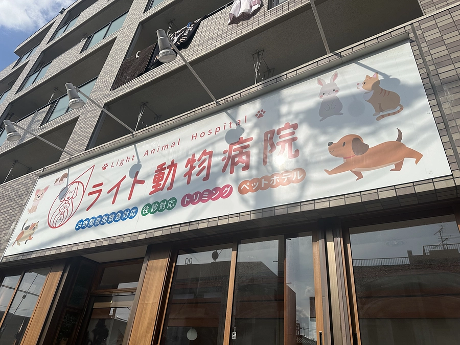 1月31日19時よりYouTubeでコラボ‼️生配信します‼️