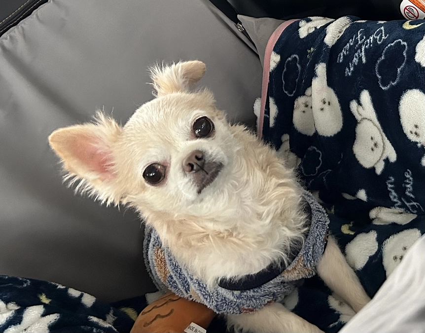 ４か月検診に行って来ました。