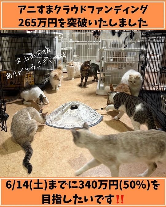 目標‼️6/14(土)までに目標額50%(340万円)を目指したい