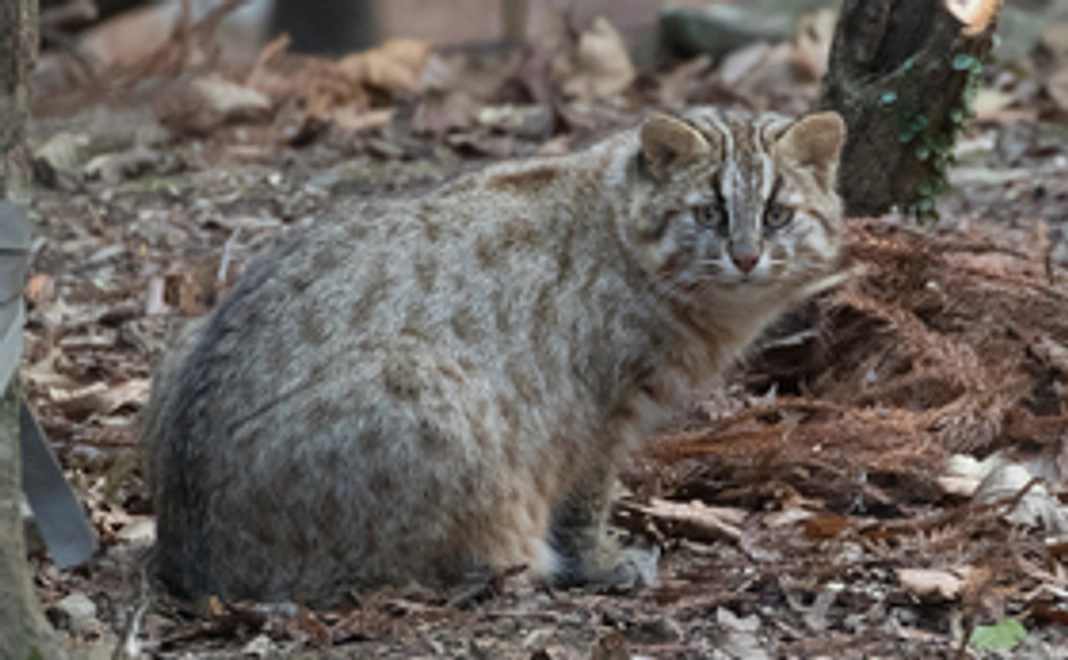 ご寄付10,000円+賛助会員コース