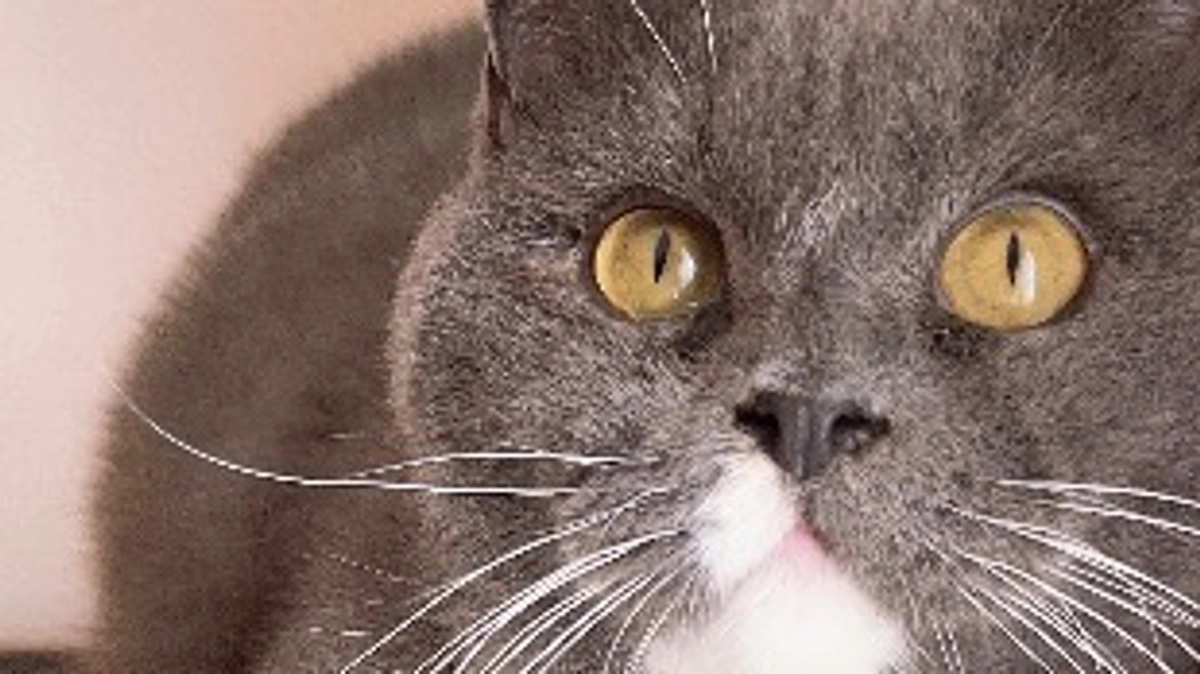 8月28日のプルート