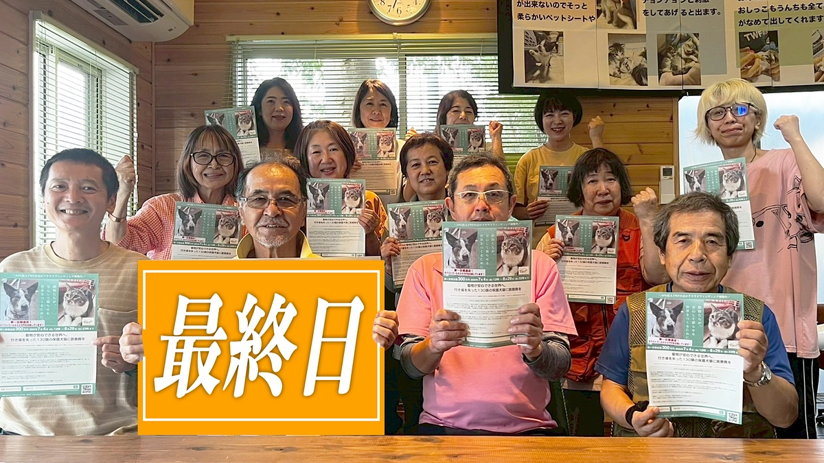 プロジェクト最終日！ 最後の願いを込めて