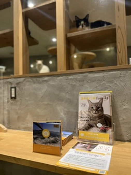 クラファン協力店舗さまご紹介♥️