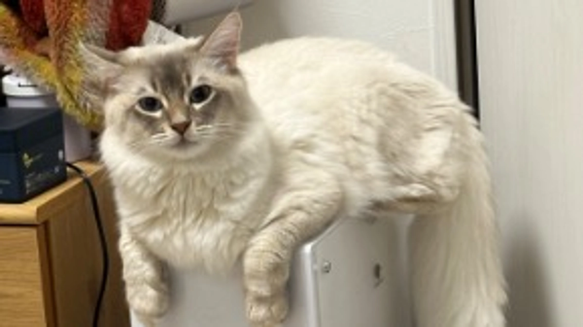 活動報告です。