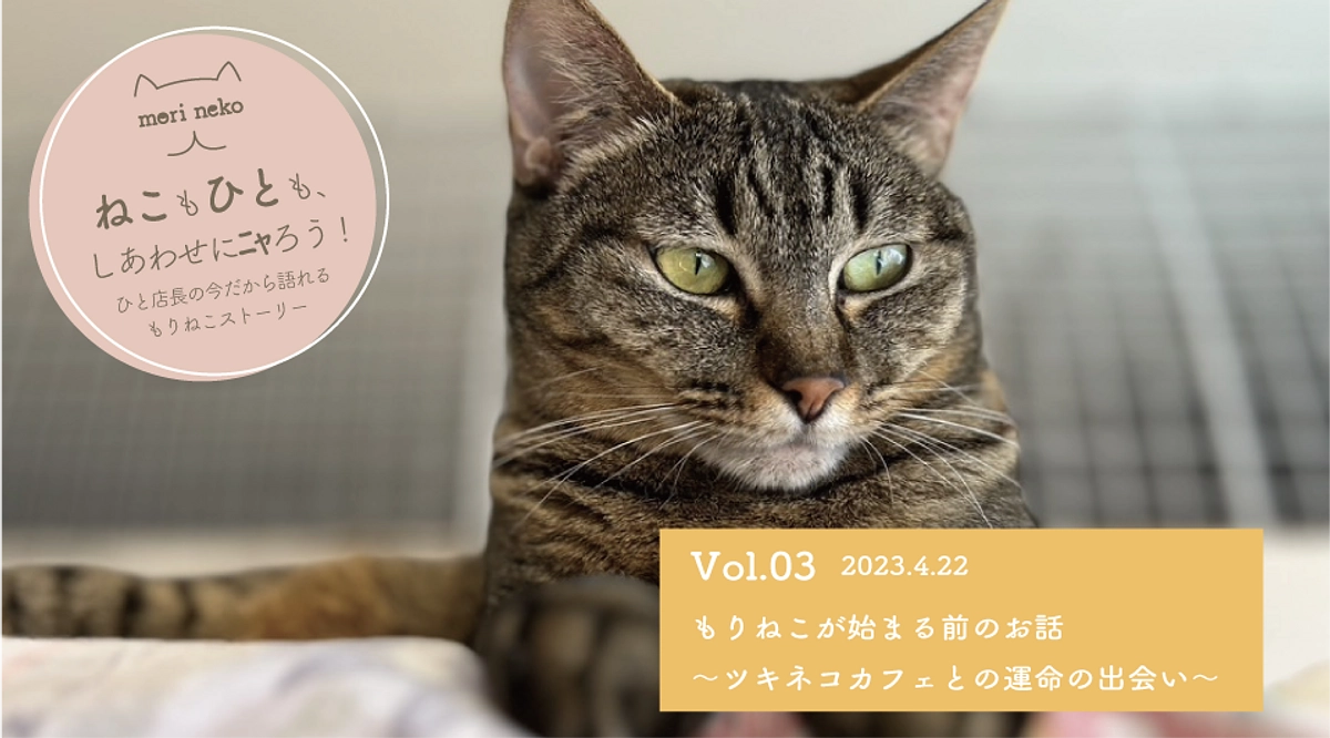 ねこもひとも、しあわせにニャろう！Vol.3